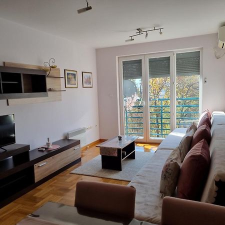 Studio Apartman Zvezdana Noc Vrnjačka Banja المظهر الخارجي الصورة